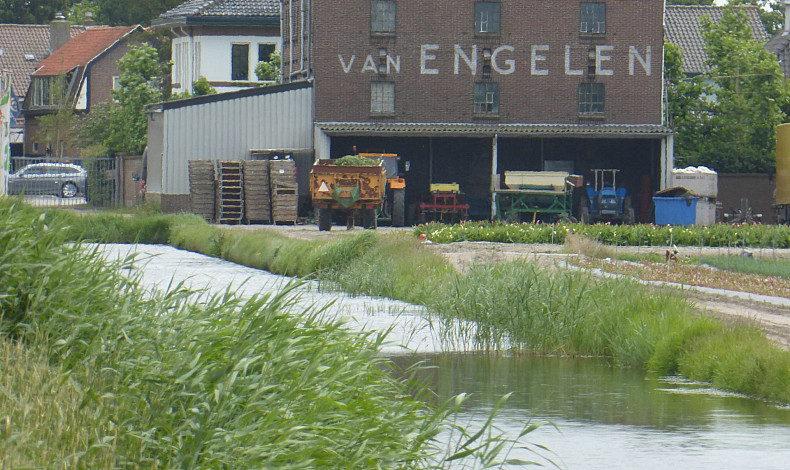 Leidsestraat 112, Hillegom