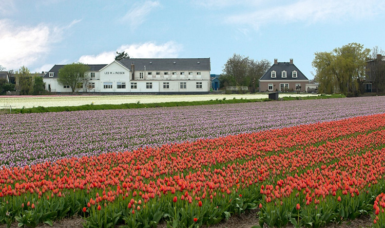 Loosterweg 4A, Voorhout