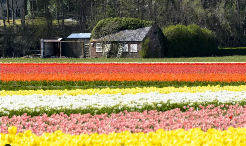 Koepelweg , Noordwijk