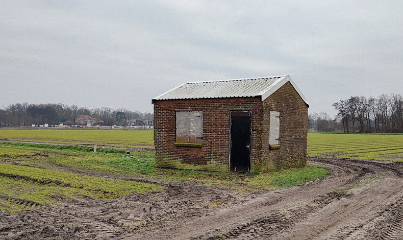 Vinkeveld land WAM Pennings, Noordwijk