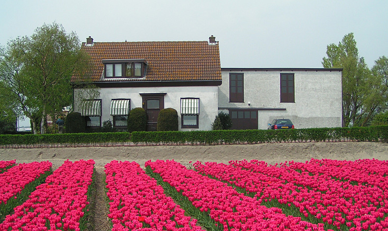 Loosterweg 59, Voorhout