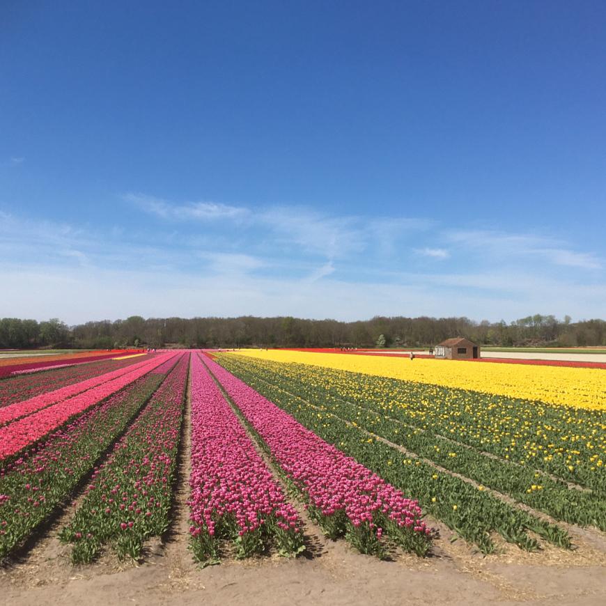 Landschuurtje Vogelenzang gesloopt
