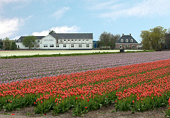 Loosterweg 4A, Voorhout