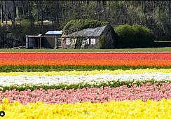 Koepelweg , Noordwijk