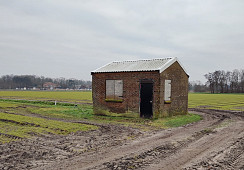 Vinkeveld land WAM Pennings, Noordwijk