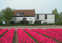 Loosterweg 59, Voorhout
