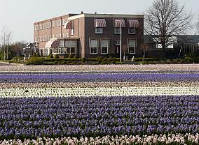 Achterweg Zuid 86, Lisse